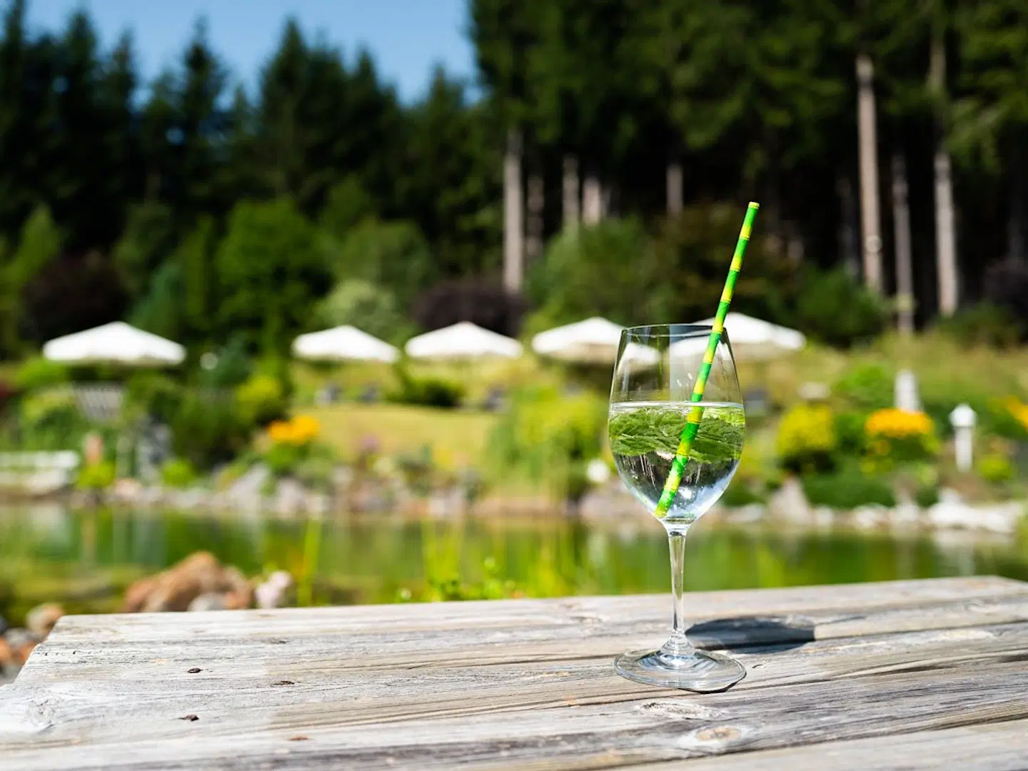 Hotel Hubertus Garten