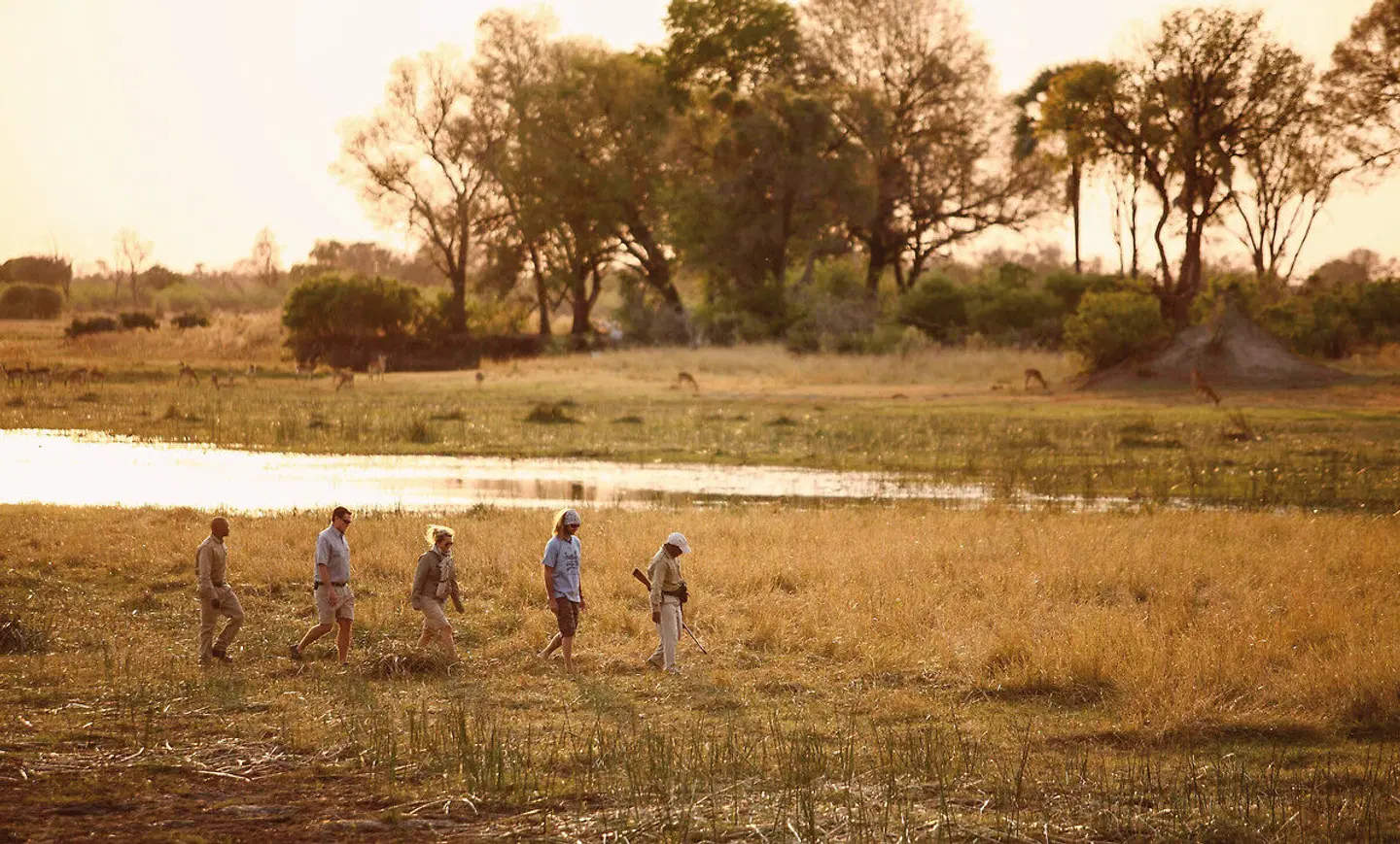 andBeyond Sandibe Okavango Safari Lodge Tiere