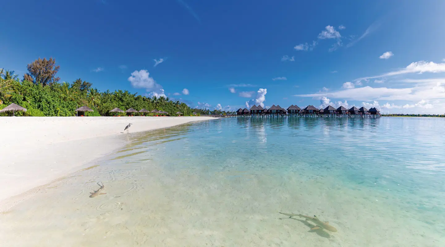 Sun Siyam Olhuveli Maldives Strand