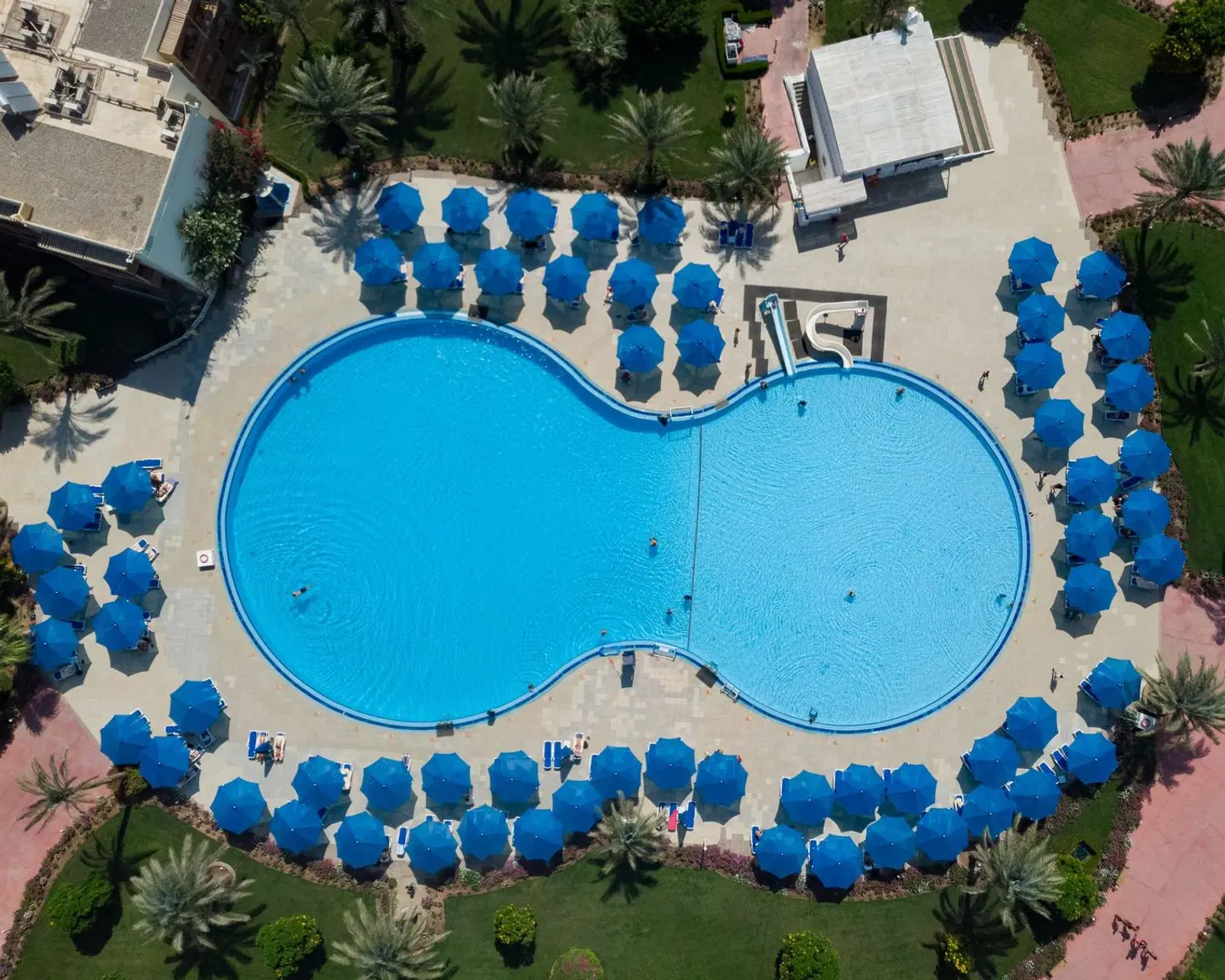 Desert Rose OUTDOOR_POOL