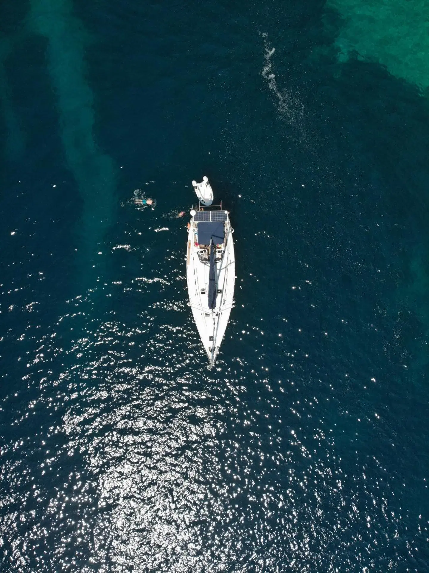 Bikini Apartments Tiere