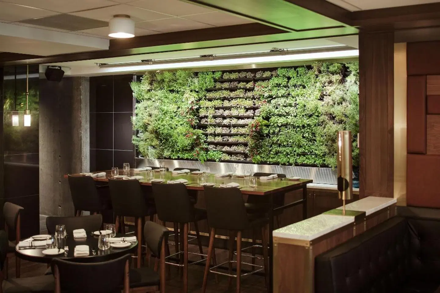 Hotel William Gray Bar