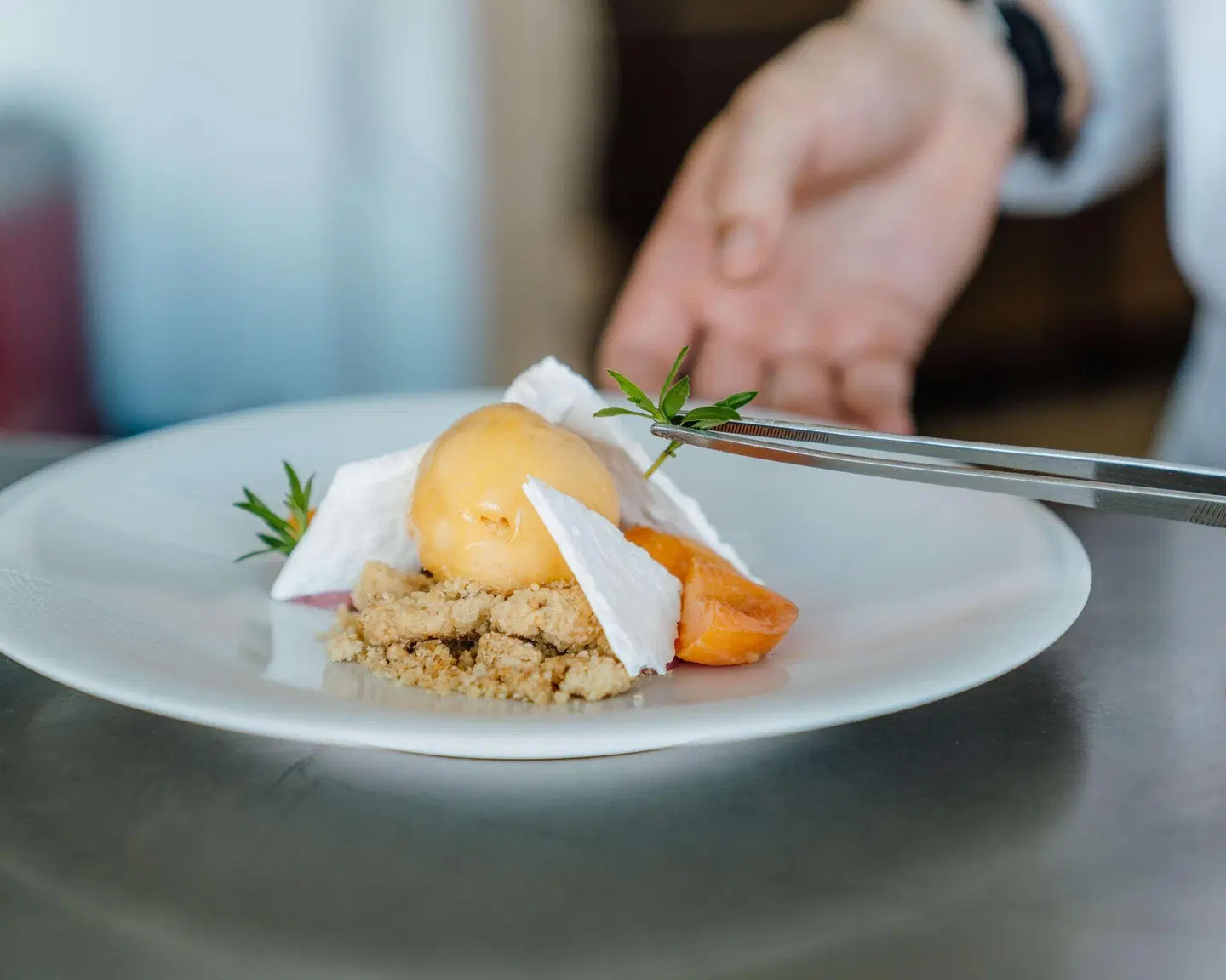 Radisson Hotel Nice Airport Restaurant