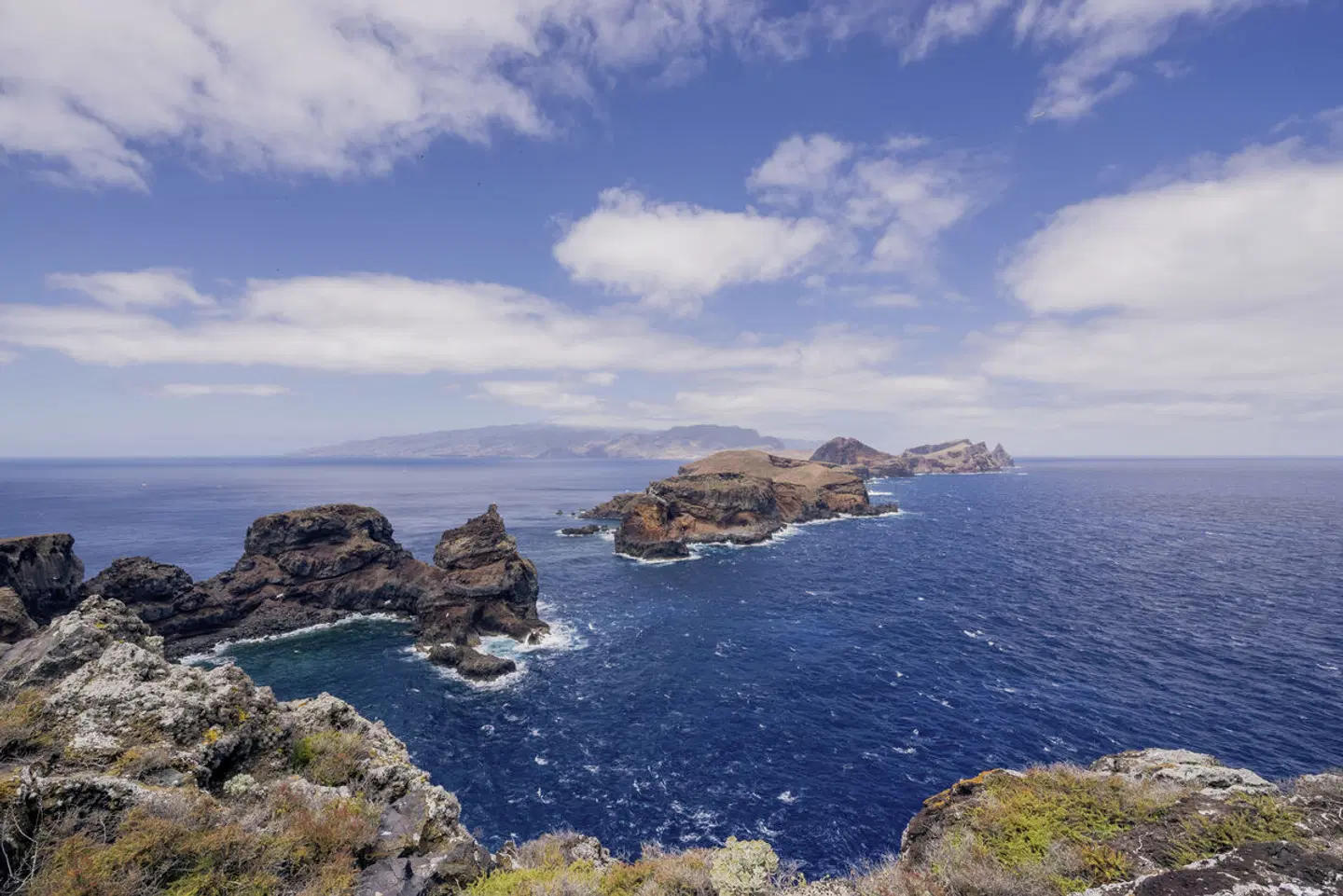 Levadas, üppige Vegetation und raue Küsten Tiere