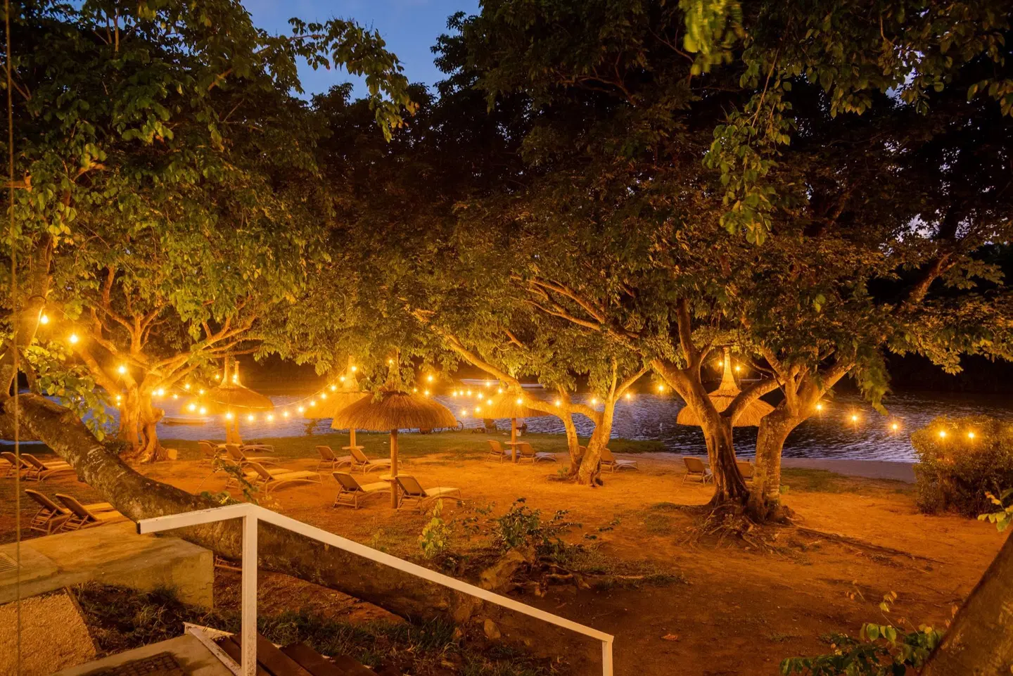 Ocean's Creek Beach Hotel ANIMAL