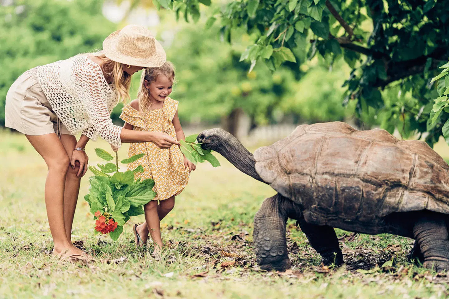 Four Seasons Resort Seychelles at Desroches Island Tiere