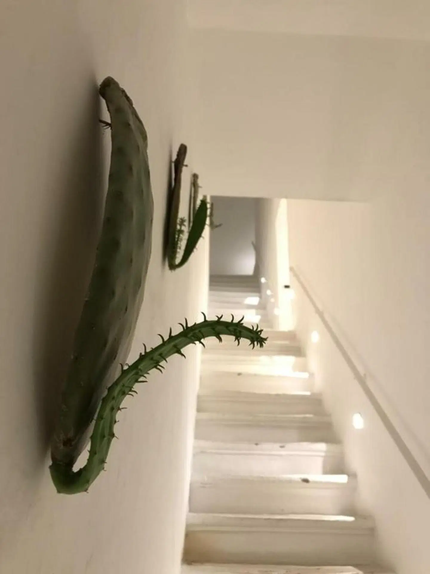 Chichouse ROOM_EXAMPLE