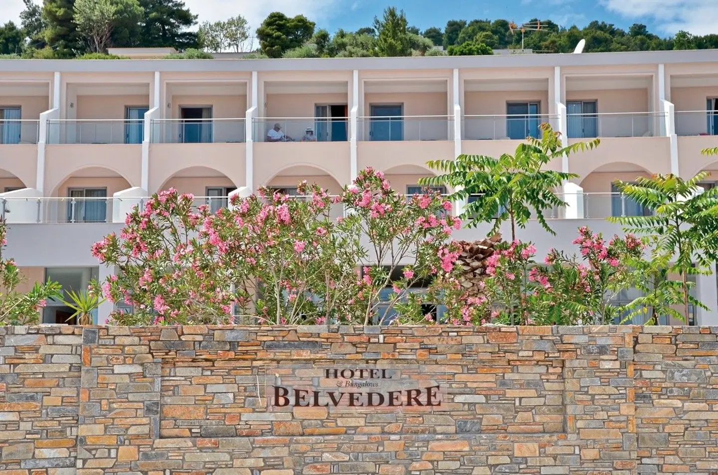 Belvedere Dolphin EXTERIOR