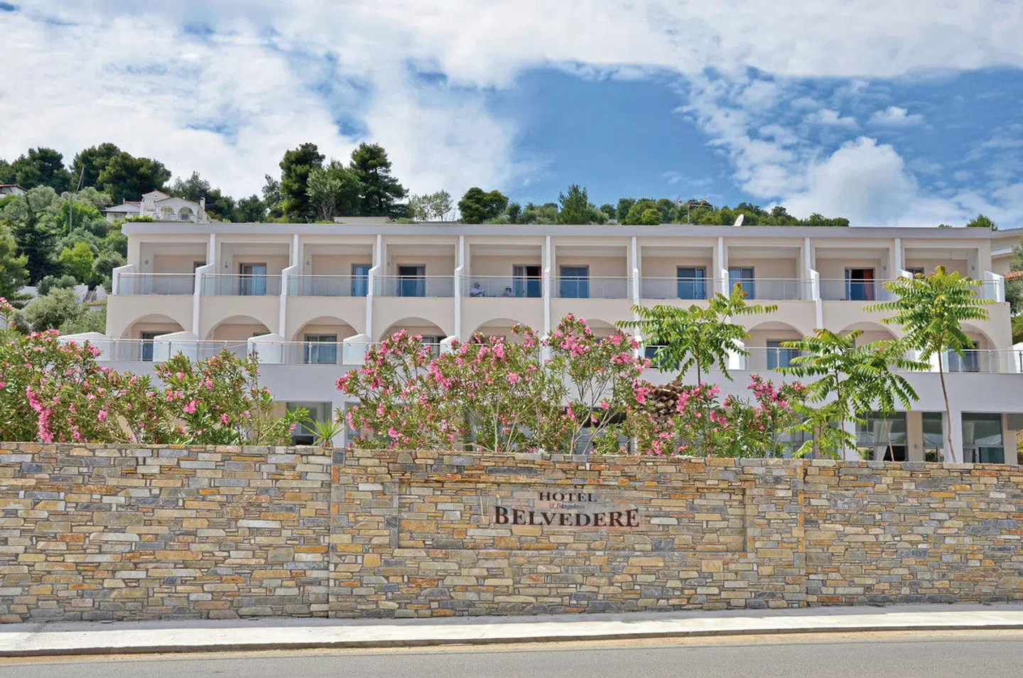 Belvedere Dolphin EXTERIOR