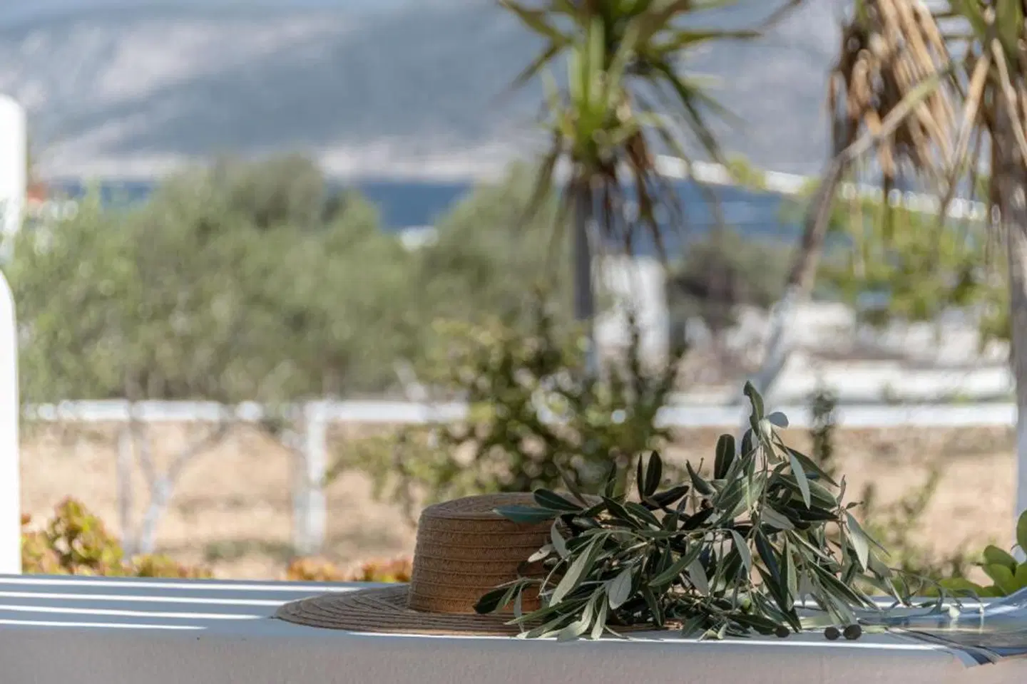 Michalios Luxury Apartments LANDSCAPE