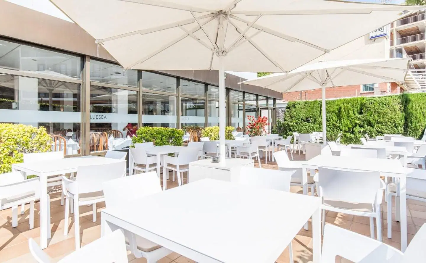 BLUESEA Montevista Hawai Terrasse