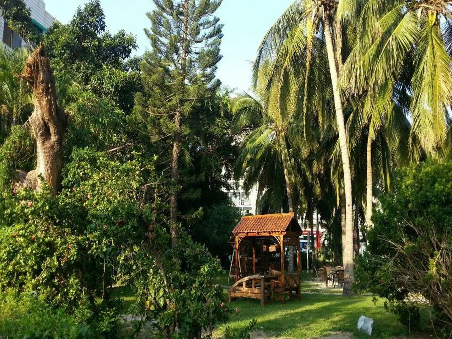 Vabriku Hostel Garten