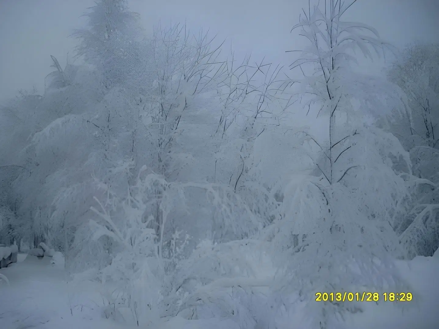 Aaria Bed and Breakfast LANDSCAPE