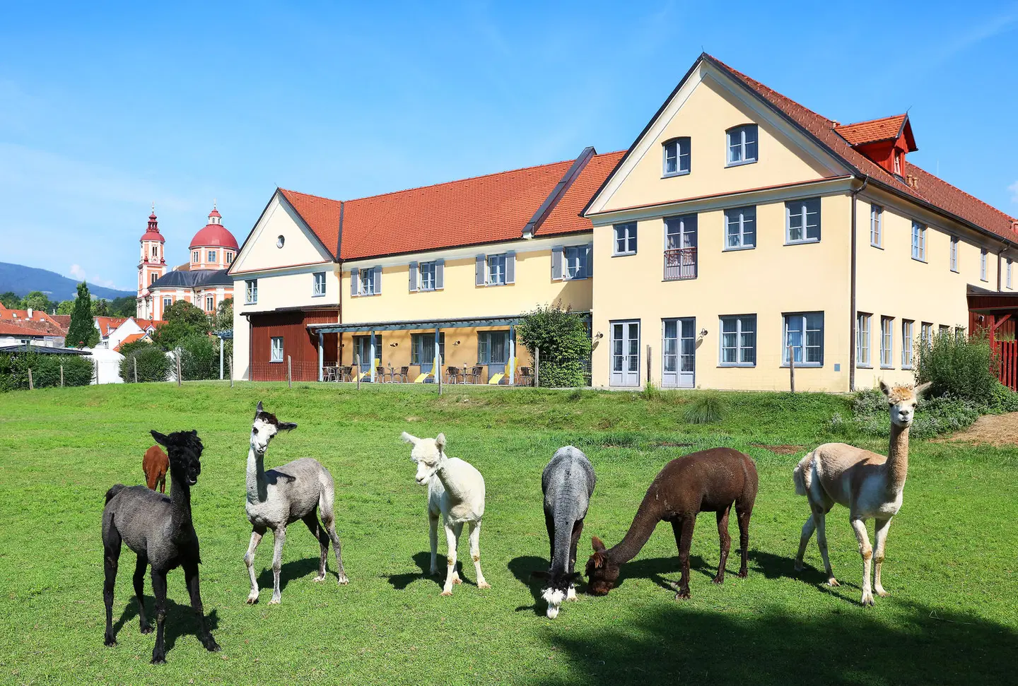 JUFA Hotel Pöllau Tiere