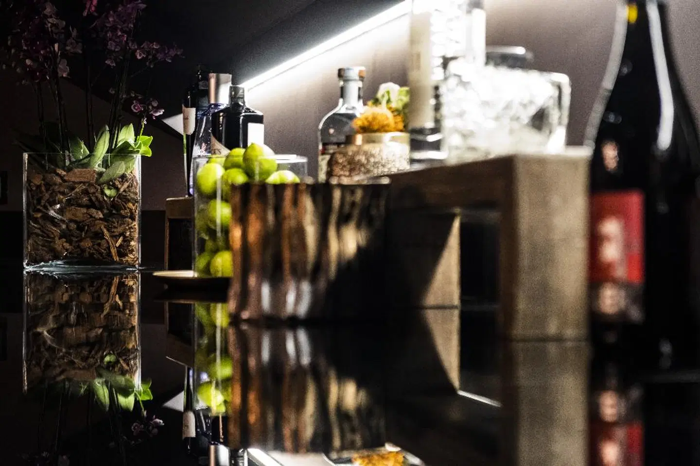 U-Visionary Roma Hotel Tiere