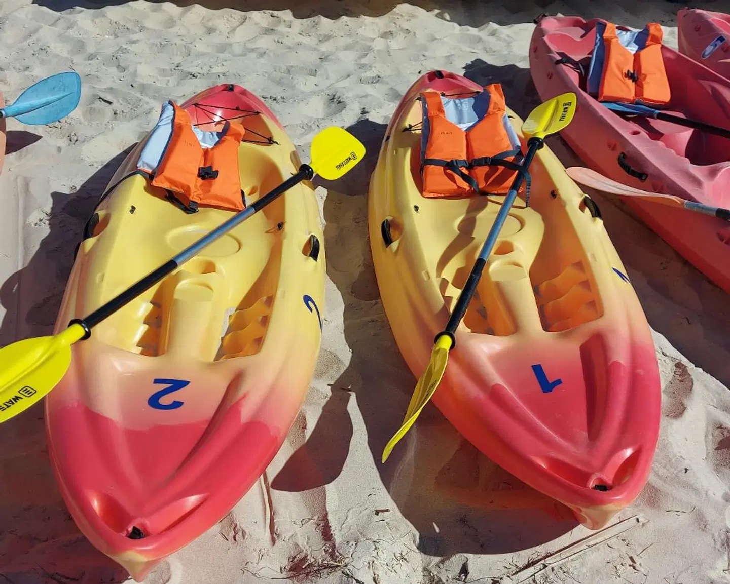 Pedras D'el Rei SPORTS_AND_LEISURE