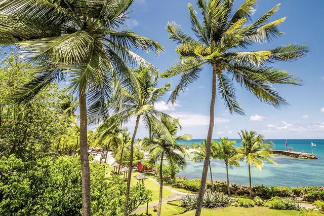 La Créole Beach Hôtel & Spa Garten