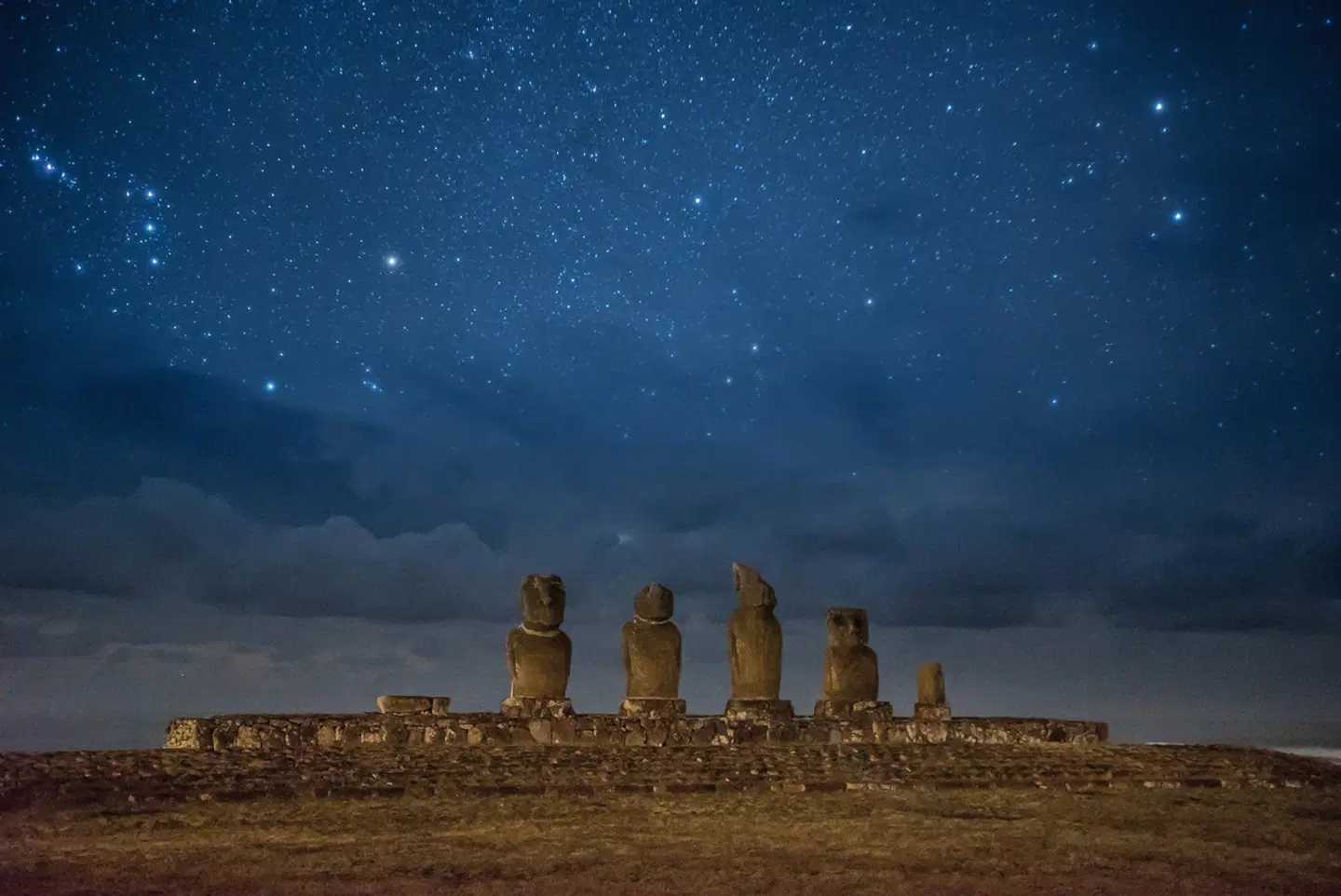 Auf den Spuren der Rapa Nui Tiere