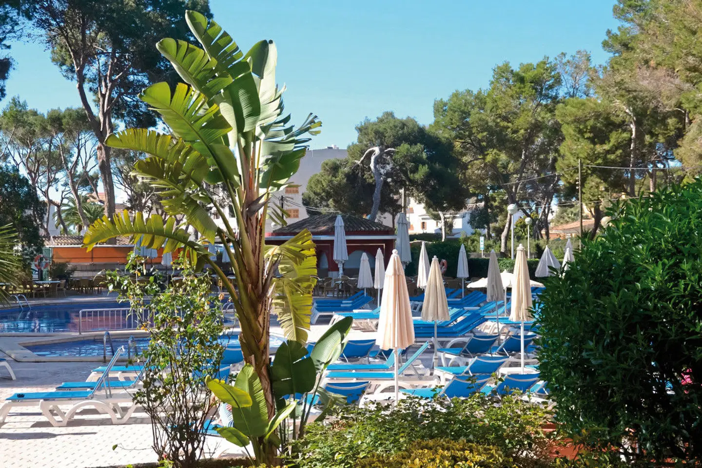 Pabisa Sofía Garten