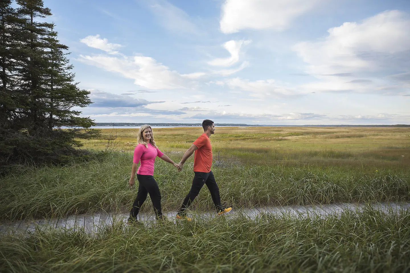 Parc Nature de Pointe-aux-Outardes LANDSCAPE