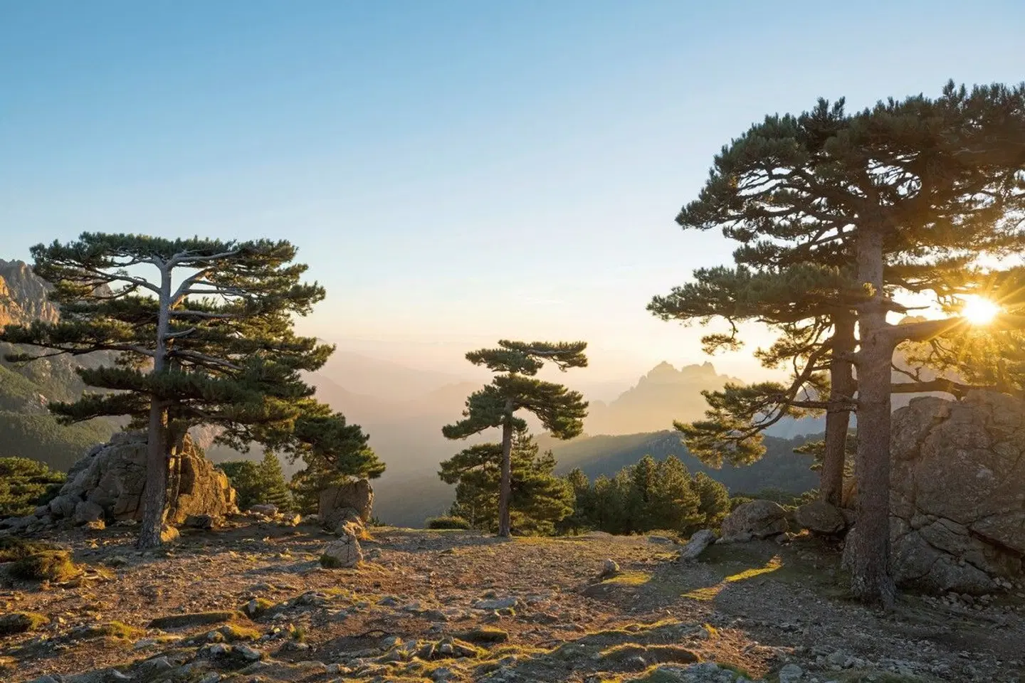 Domaine le Mouflon d'Or - Relais & Châteaux LANDSCAPE