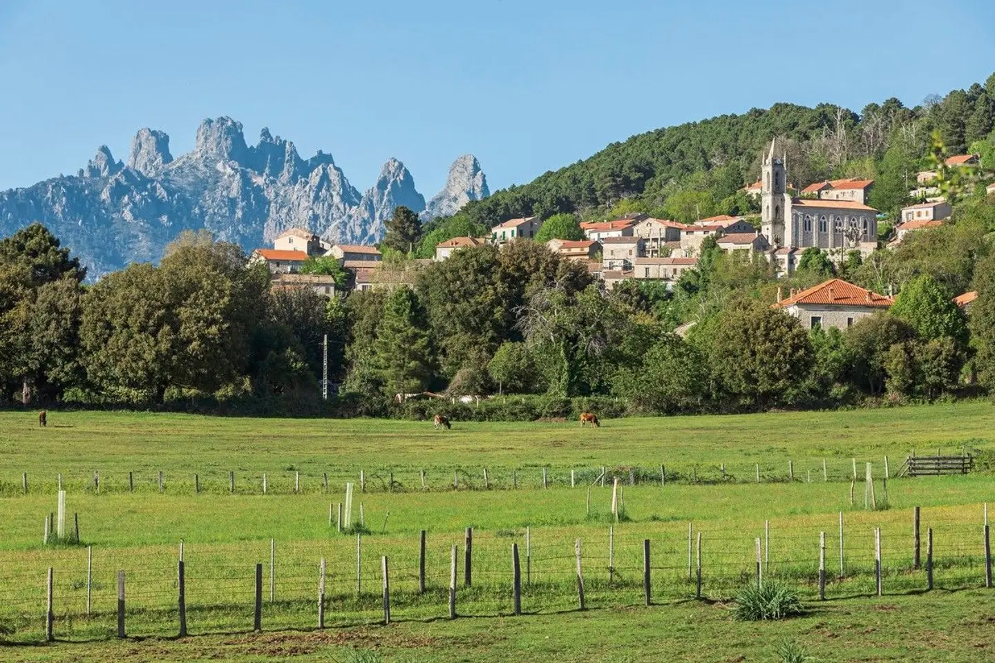 Domaine le Mouflon d'Or - Relais & Châteaux LANDSCAPE