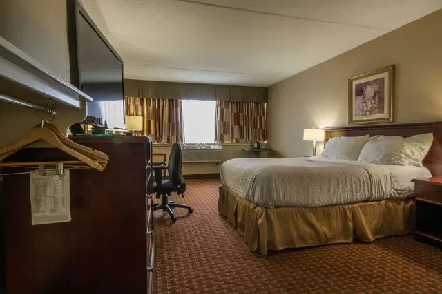 Holiday Inn St. John's Conference Centre ROOM_EXAMPLE