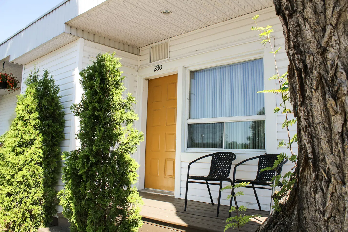 Auberge le Parasol Terrasse