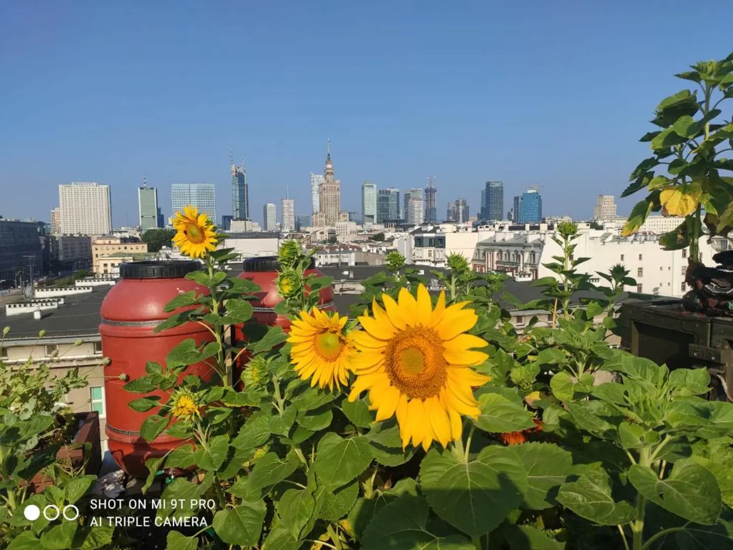 Chopin Boutique B&B LANDSCAPE