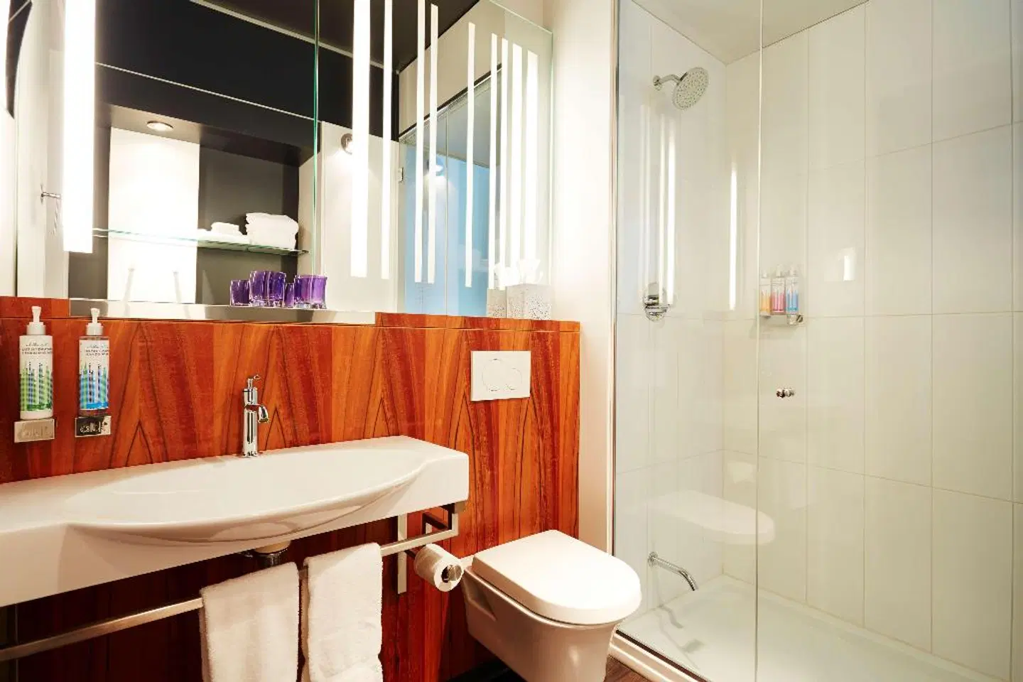 Alt Hotel Ottawa Badezimmer