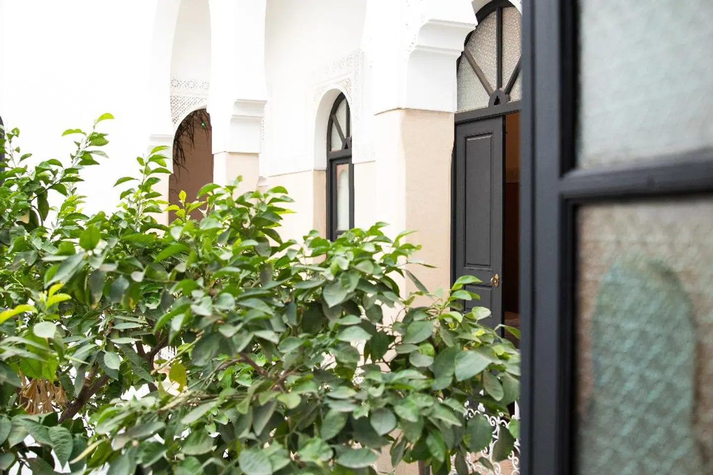 Riad Aguerzame Hotel Garten