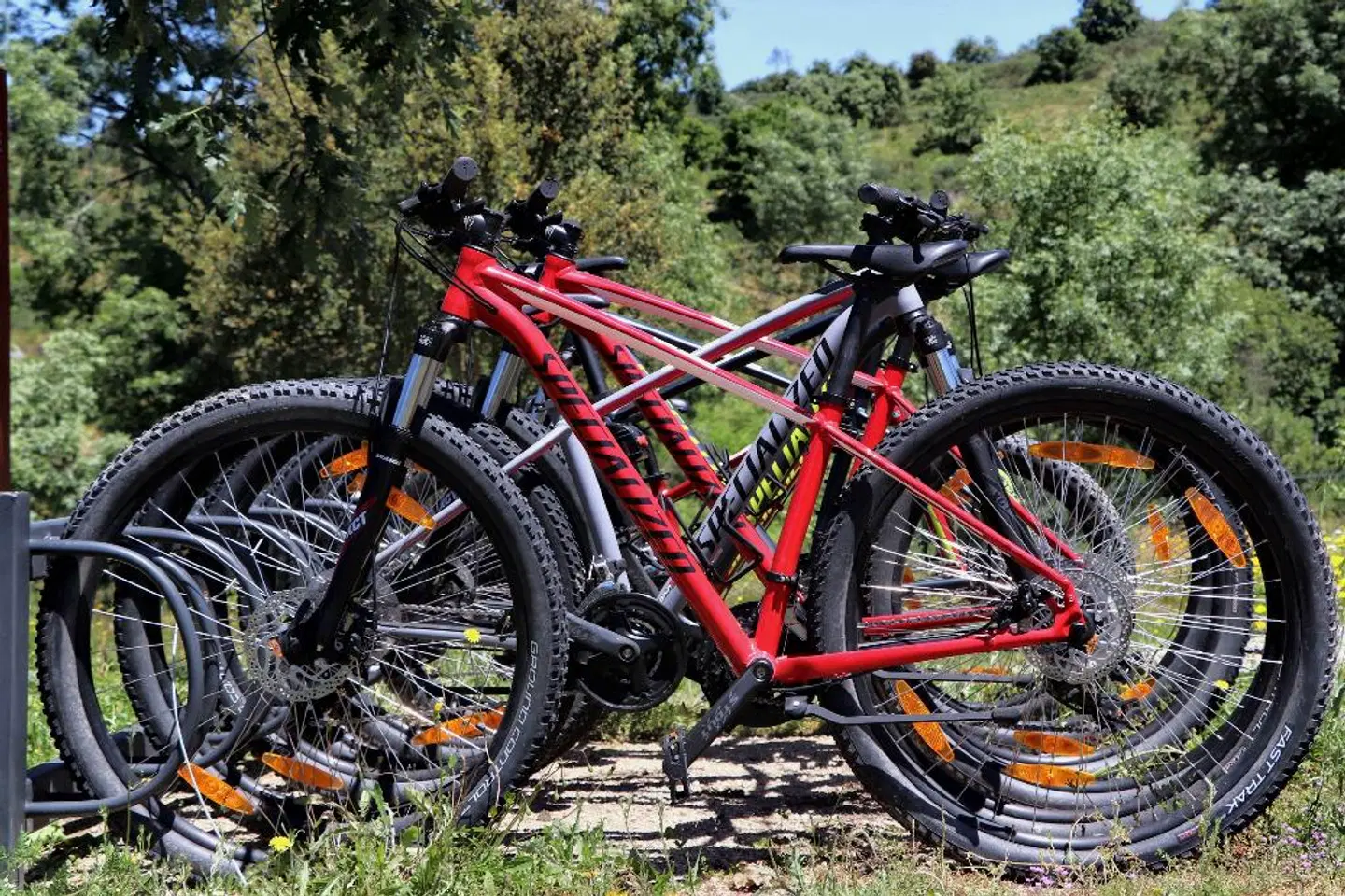 Encosta do Sobreiro - Serra da Estrela SPORTS_AND_LEISURE