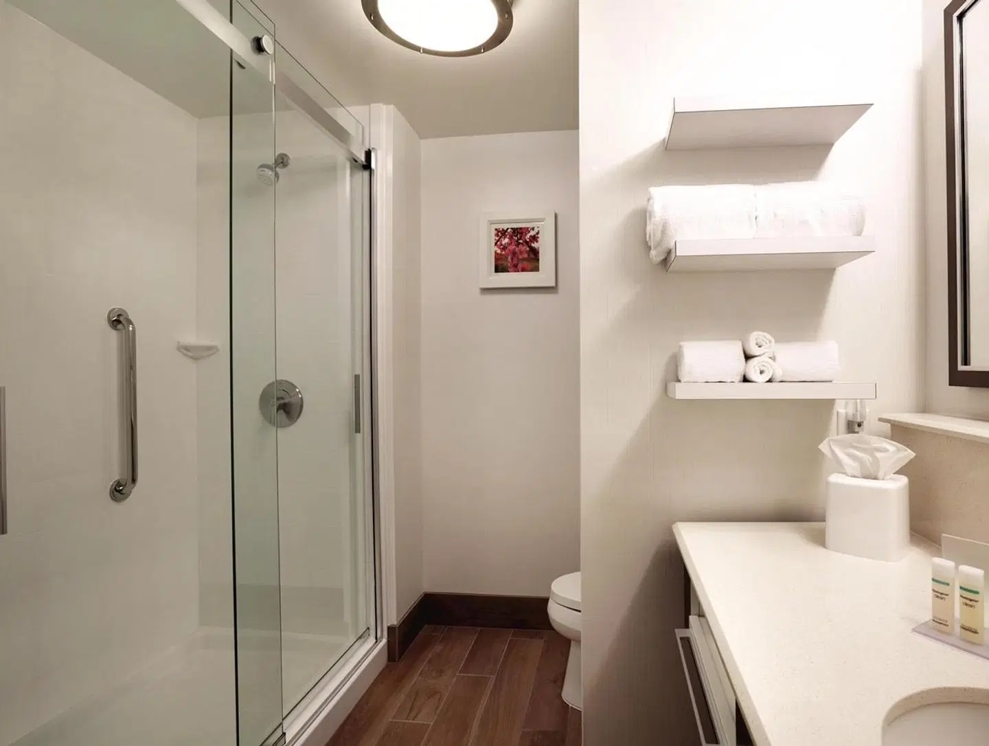 Hampton Inn Brigham City Badezimmer