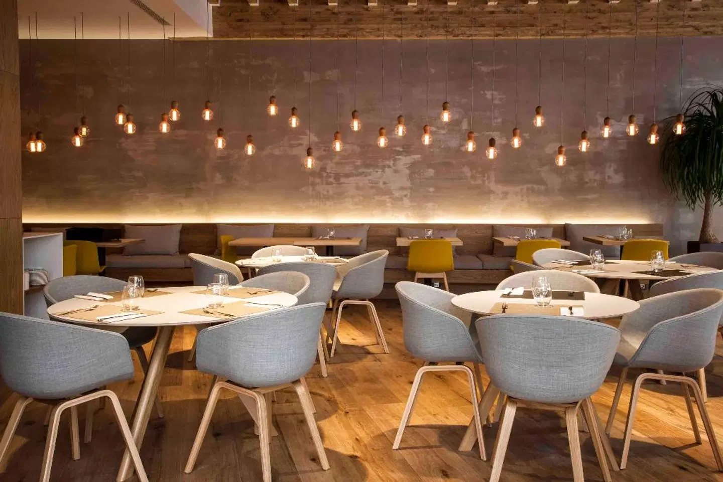 Zenit San Sebastián Bar