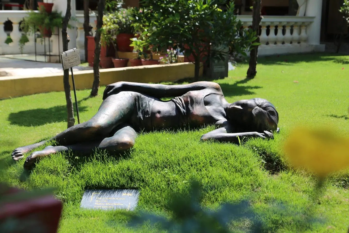 Guest House Kathmandu Tiere