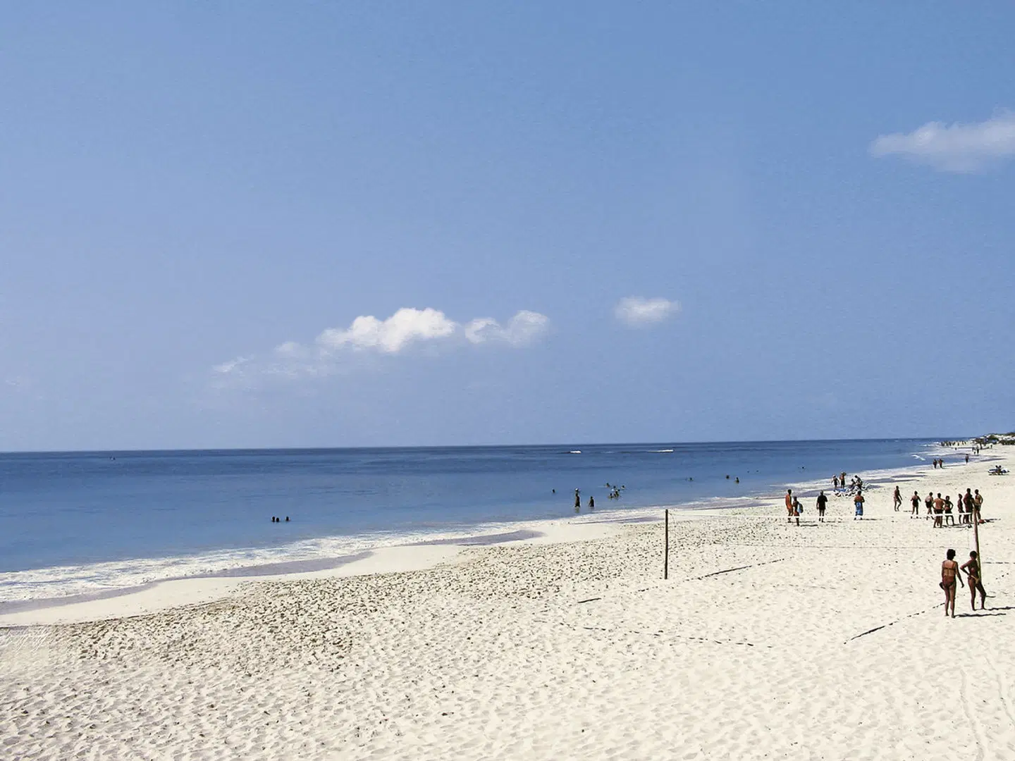 Starfish Cayo Largo Strand