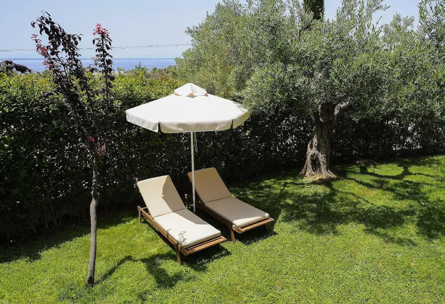 Trikorfo Beach Garten