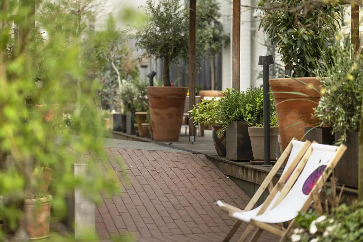 Hotel Mayfair Terrasse