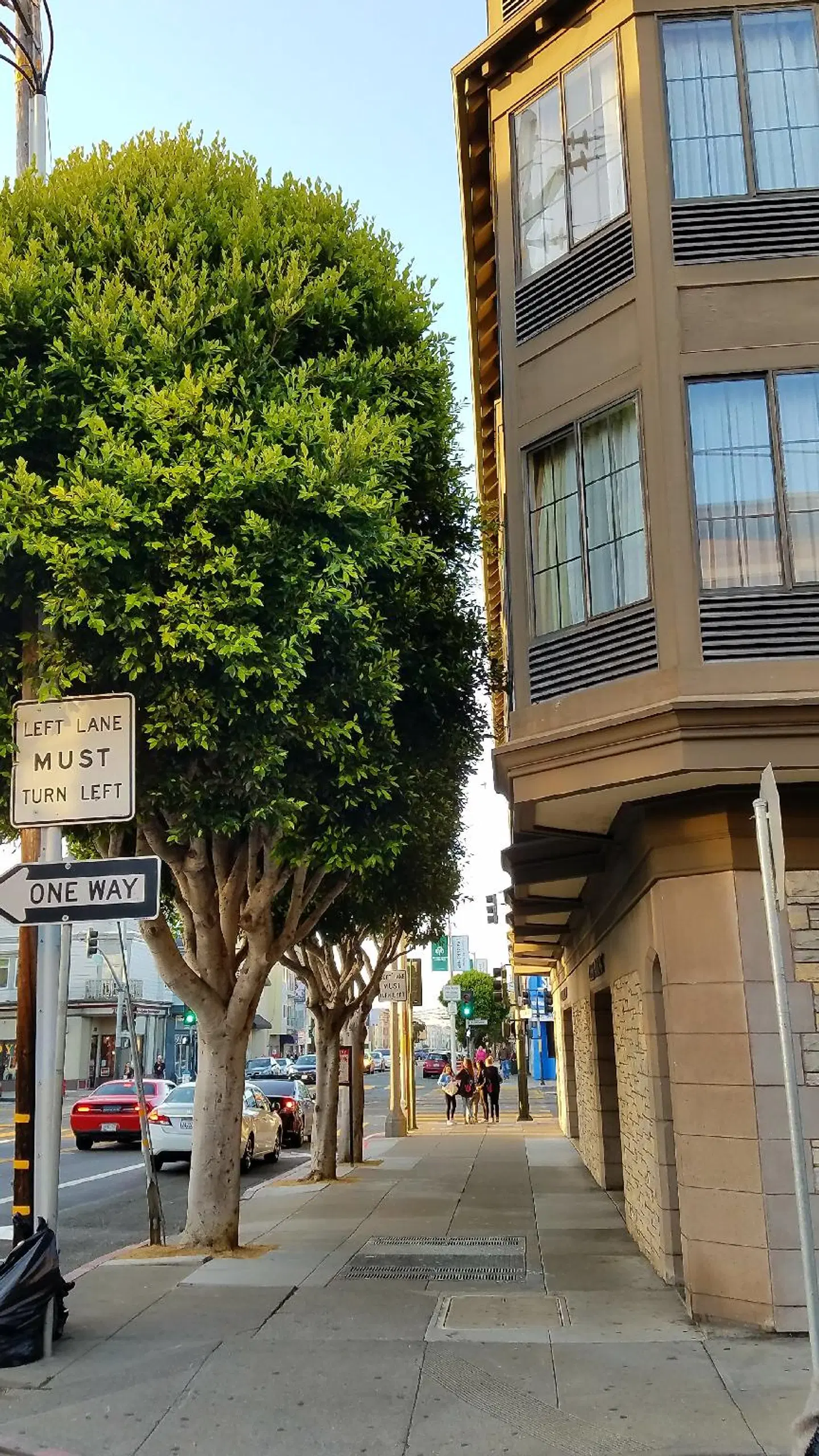 Chelsea Motor Inn EXTERIOR