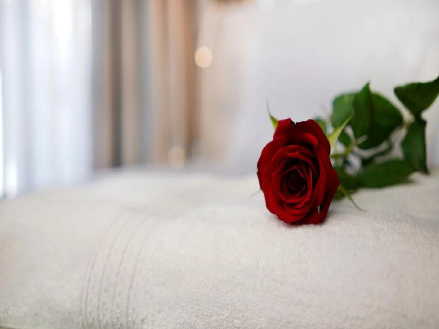 Petit Palace Suites Hotel ROOM_EXAMPLE