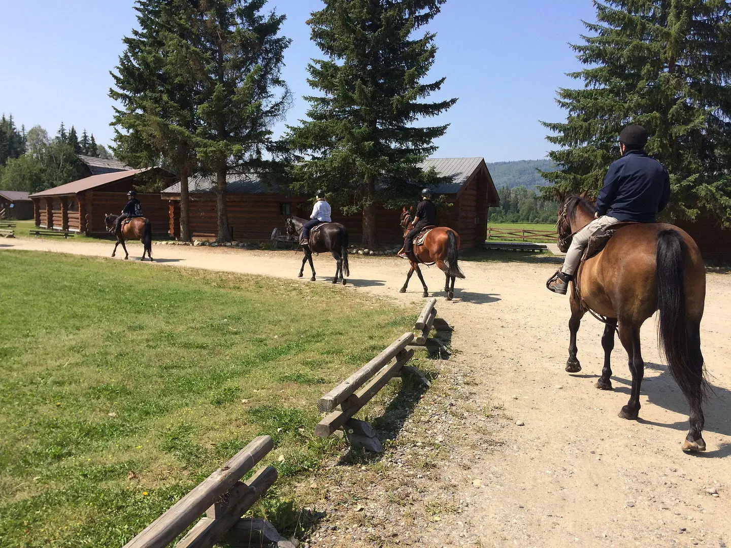 Wells Gray Guest Ranch Tiere