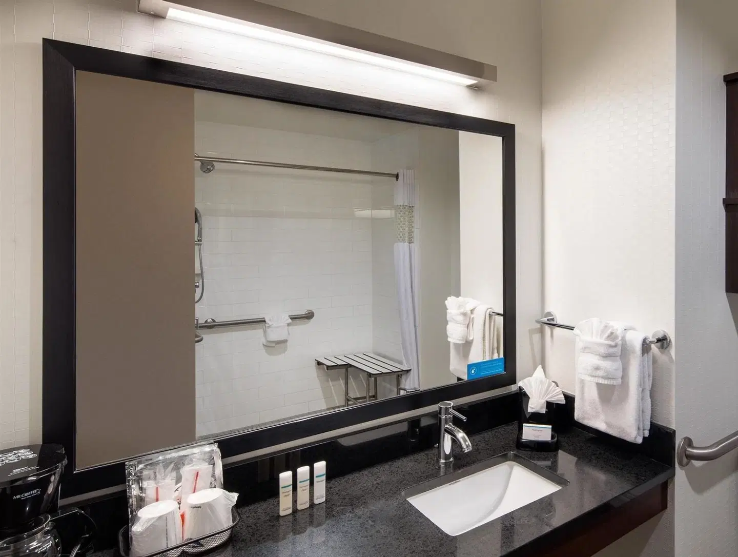 Hampton Inn & Suites Denver Downtown Convention Center Badezimmer