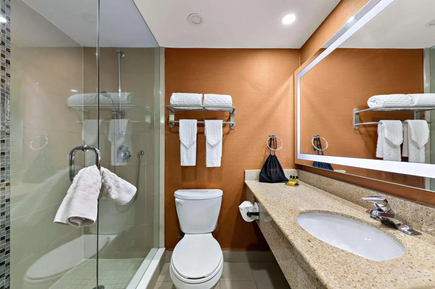 Best Western Plus Toronto North York Hotel & Suites Badezimmer