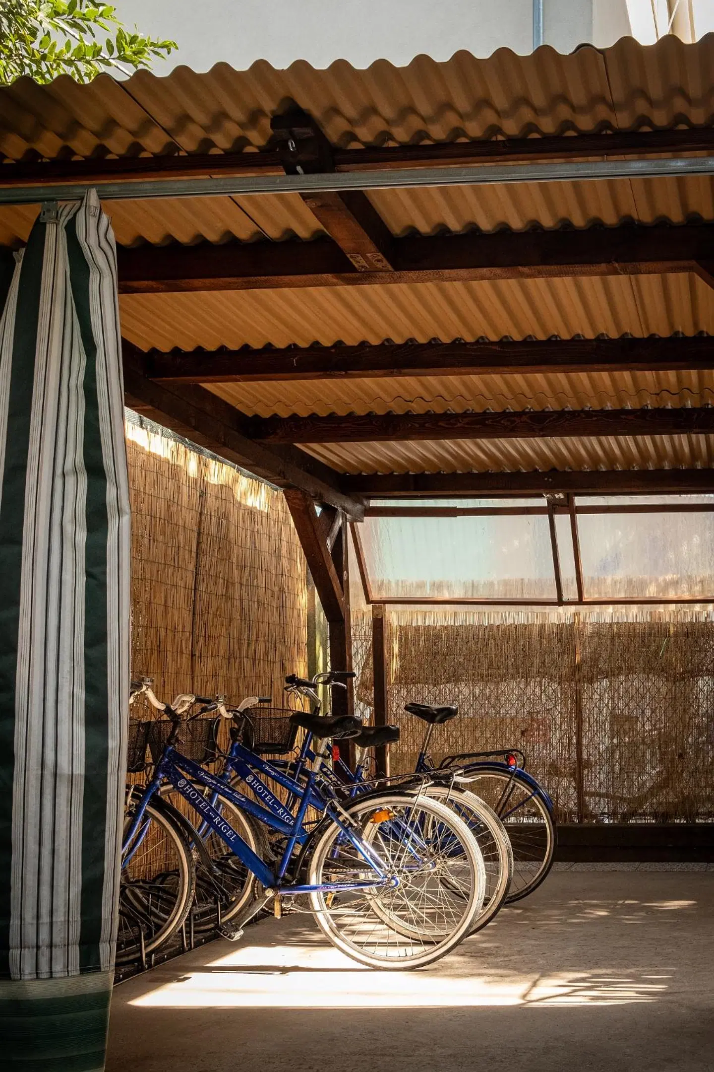 Rigel SPORTS_AND_LEISURE