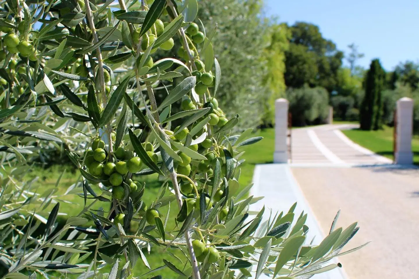 Borgo Romantico Relais Garten