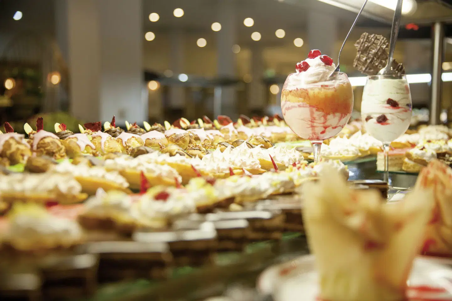 Palm Beach Club Djerba Tiere