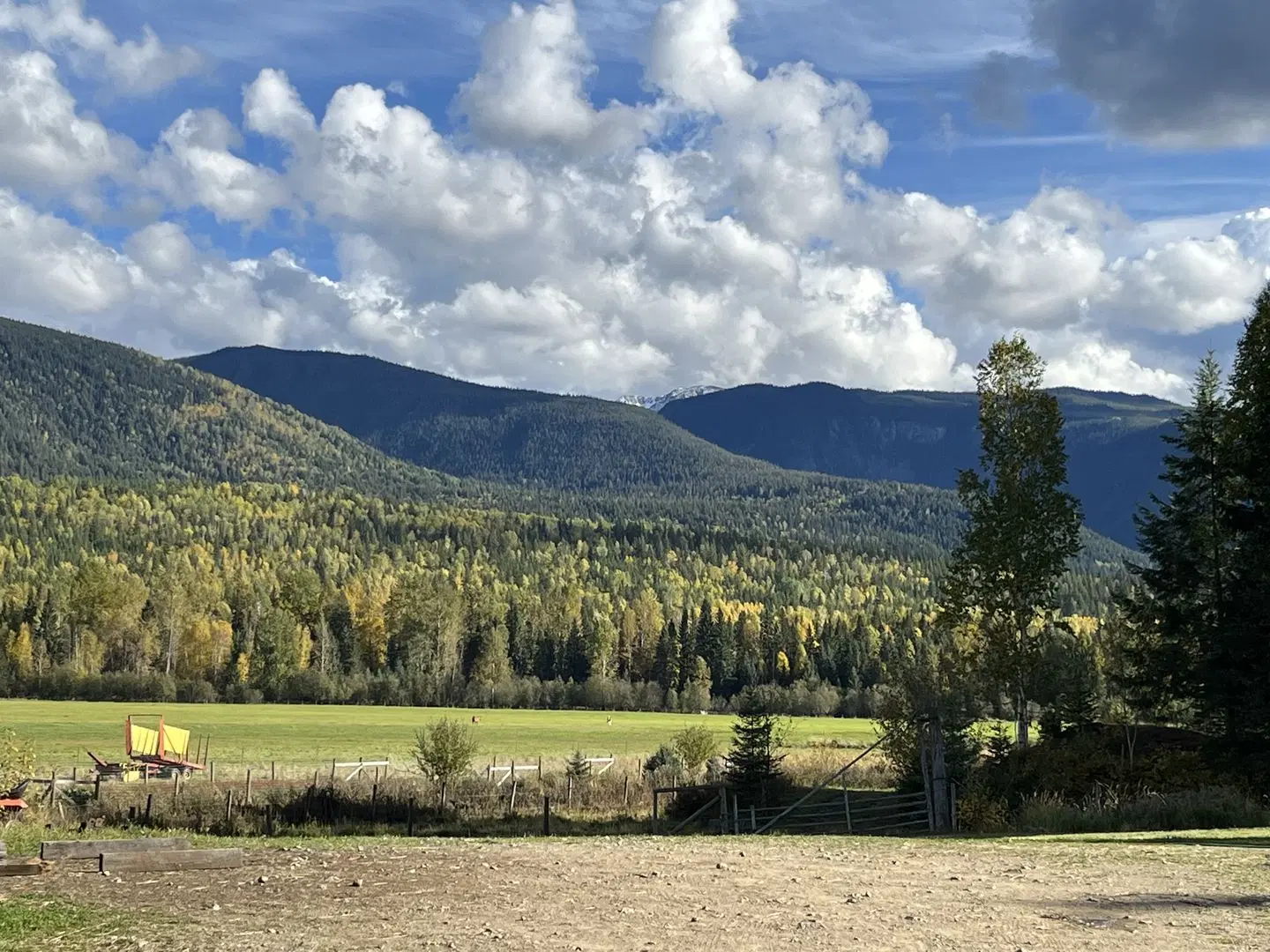 Battle Creek Ranch LANDSCAPE