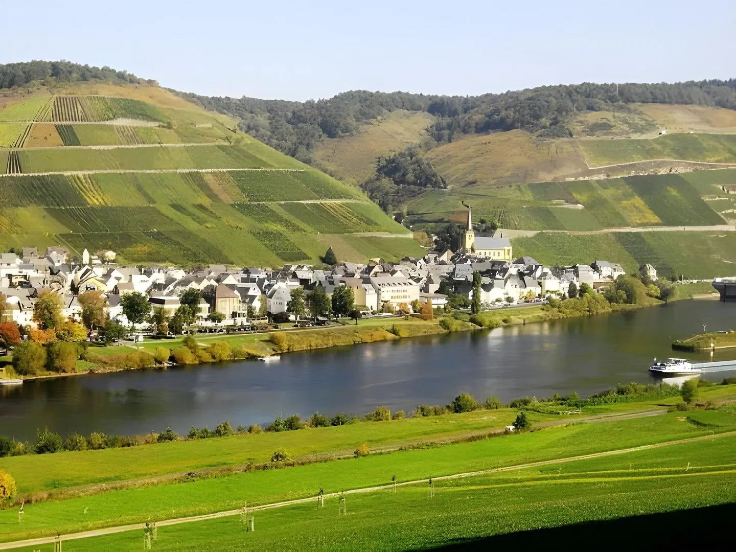 Moselblümchen LANDSCAPE