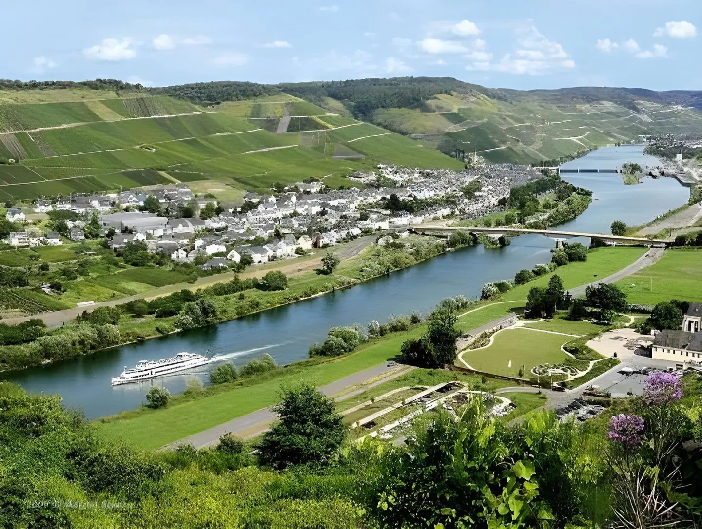 Moselblümchen LANDSCAPE