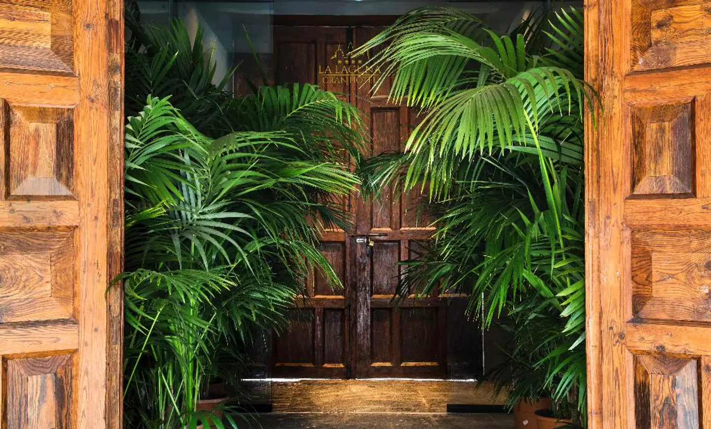 La Laguna Gran Hotel Terrasse